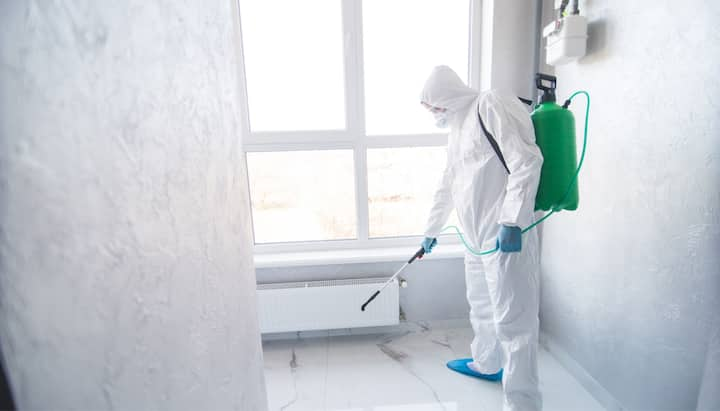 Mold Inspection Services in Albuquerque